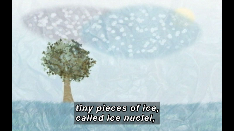 Still image from Moko: The Land Of White