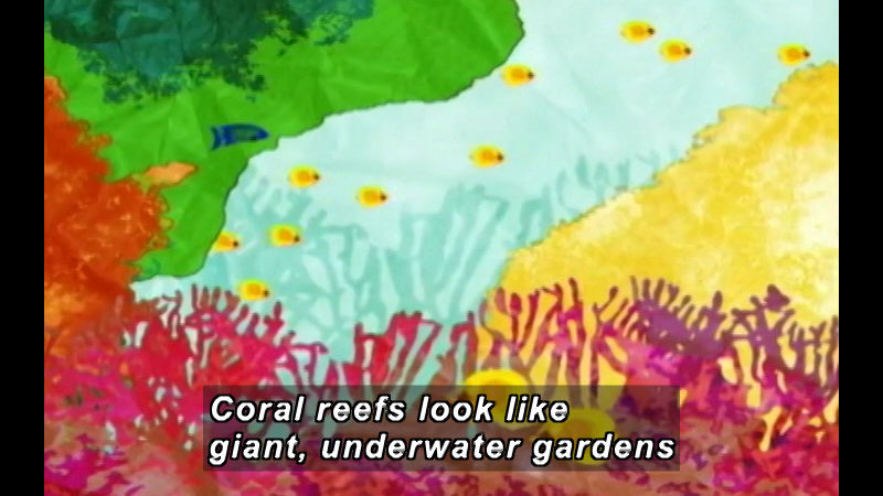 Illustration of brightly colored coral and plant life with tropical fish swimming through it. Caption: Coral reefs look like giant, underwater gardens