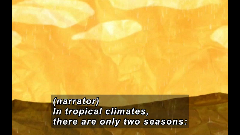 Still image from Moko: The Rainy Season