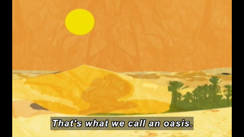 Still image from Moko: The Secret Garden