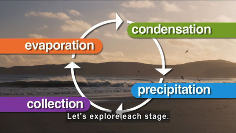 Cycle showing evaporation, condensation, precipitation, and collection. Caption: Let's explore each stage.