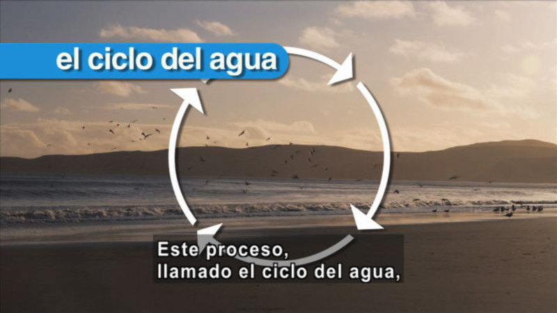 Still image from Science Video Vocab: Water Cycle (Spanish)