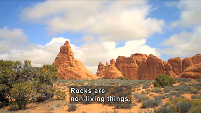 Formations of red rock in desert scrub brush. Caption: Rocks are non-living things.
