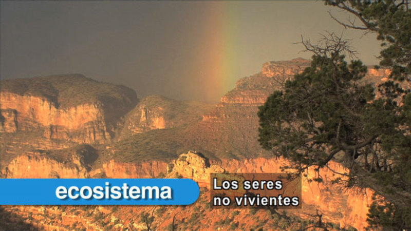 Red rock topped with green scrub and a rainbow in the sky. Spanish captions.