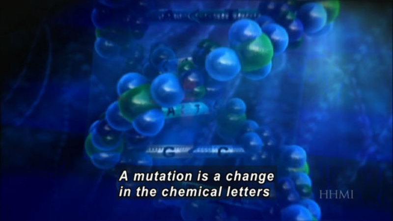 Graphic of a strand of DNA with the C-G-A-T protein sequences. Caption: A mutation is a change in the chemical letters