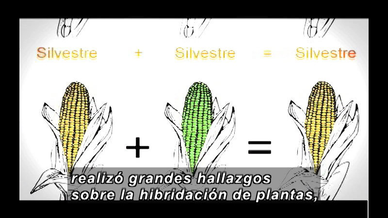 Still image from Science And Technology - Biotechnology Part 1 (Spanish)