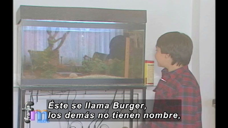 Still image from Franja Metro: Varieties (Spanish)