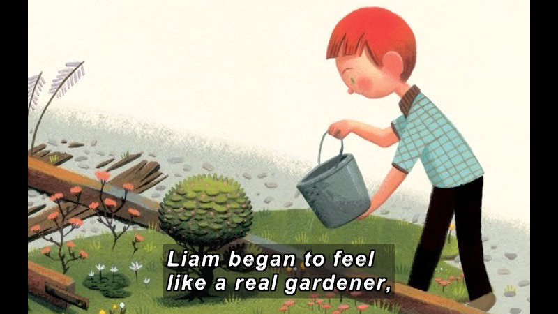 Illustration of a boy pouring a bucket of water onto a small tree. Caption: Liam began to feel like a real gardener,