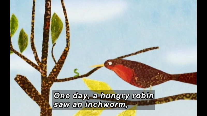 Illustration of a bird on a branch looking at a small worm on a branch close by. Caption: One day, a hungry robin saw an inchworm,
