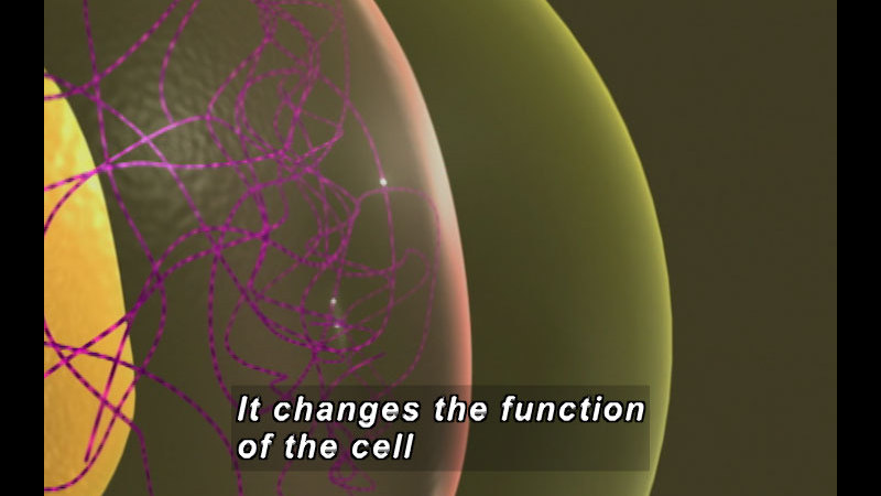 Illustration of a cell with activity inside. Caption: It changes the function of the cell