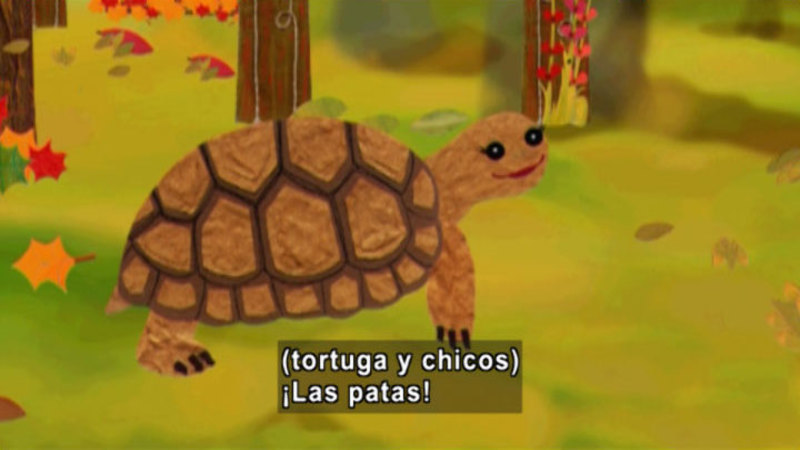 An illustrated turtle. Spanish captions.