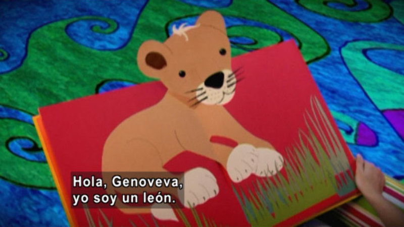 A popup book with an illustrated lion. Spanish captions.