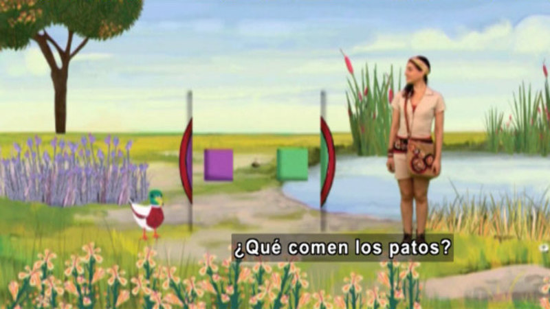 A woman standing in front of an illustrated backdrop of a pond with a duck next to it. Spanish captions.