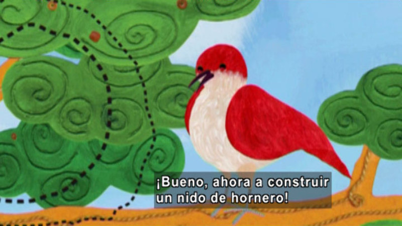 An illustrated bird on a branch. Spanish captions.
