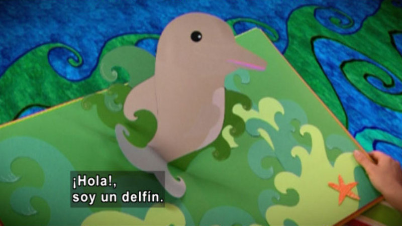 A book with a pop-up dolphin. Spanish captions.