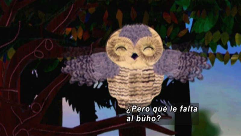An illustration of an owl on a branch. Spanish captions.