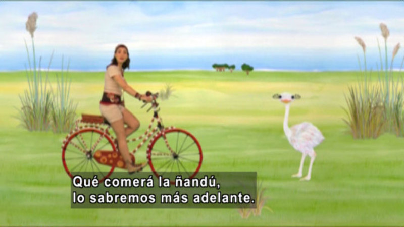 A woman riding a bike against an illustrated background with a rhea. Spanish captions.
