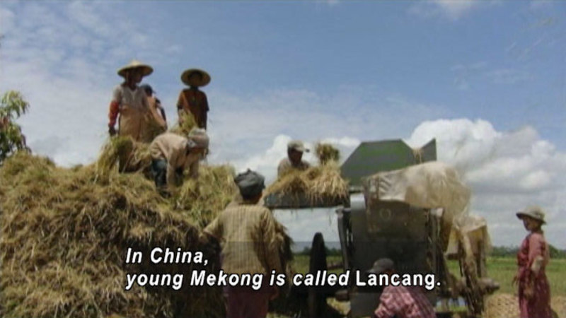 People stand on and around a large pile of cut grass with an unmotorized vehicle next to it. Caption: In China, young Mekong is called Lancang.