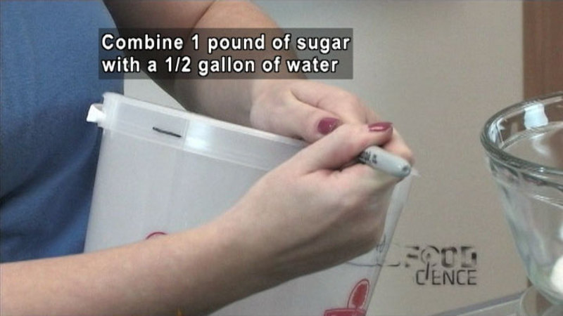 Person marking a spot near the lip of a round plastic container. Caption: Combine 1 pound of sugar with 1/2 gallon of water