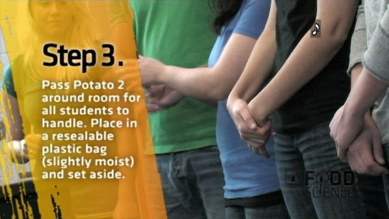 People standing side by side in a line. Caption: Step 3. Pass Potato 2 around room for all students to handle. Place in a resealable plastic bag (slightly moist) and set aside.