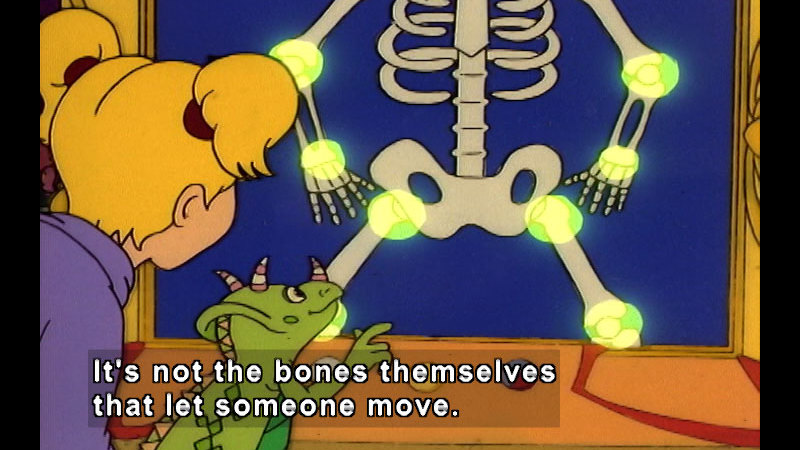 Cartoon of a person looking at a skeleton with the joints highlighted. Caption: It's not the bones themselves that let someone move.
