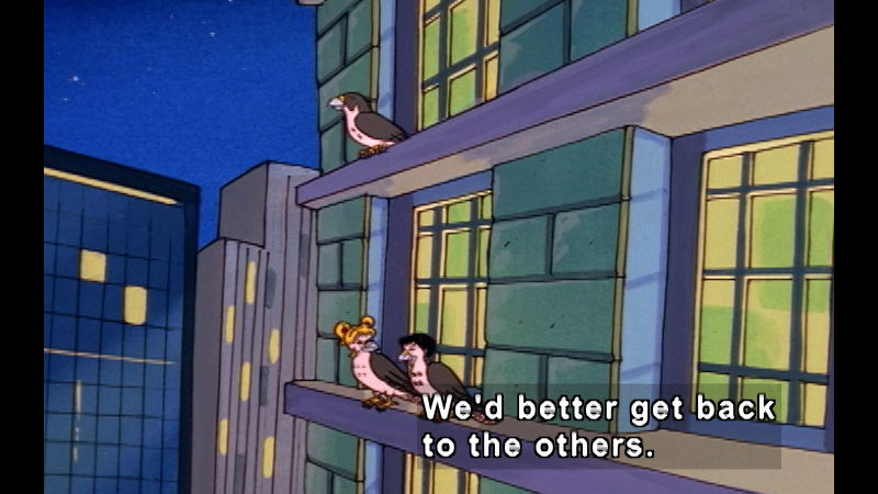 Cartoon characters with faces and the bodies of pigeons sitting on the window ledge of a high-rise building. Caption: We'd better get back to the others.