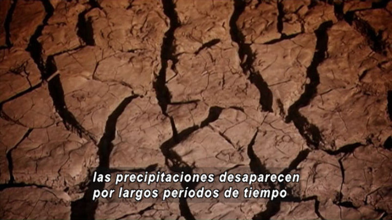 Deep cracks in dried out mud. Spanish captions.