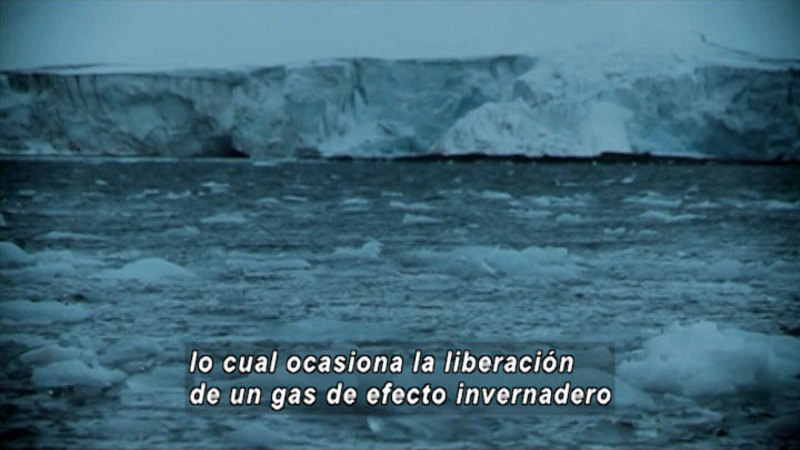 Frigid water with ice floating in it buts against a sheet of ice. Spanish captions.