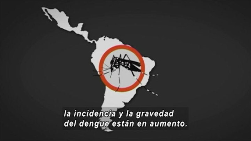 Graphic of a mosquito overlaid on a map of Central and South America. Spanish captions.