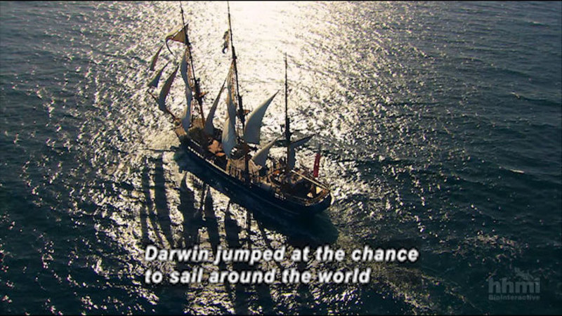 Multi-sailed ship on the ocean as seen from above. Caption: Darwin jumped at the chance to sail around the world