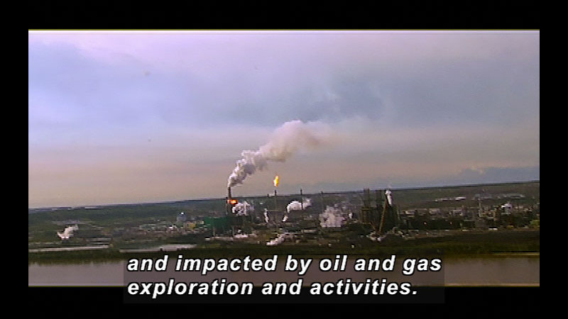 Still image from Wild Chronicles: Boreal Forest In Canada