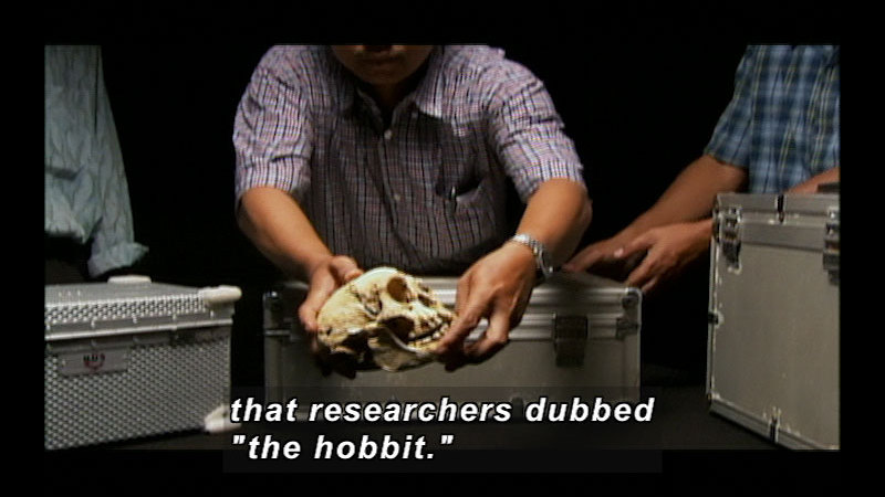 Person carefully handling a very small humanoid skull. Caption: that researchers dubbed "the hobbit."