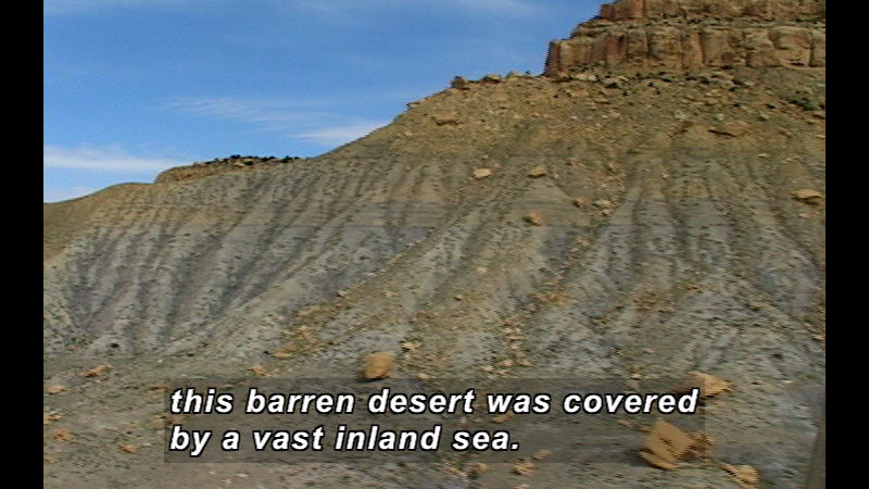 Still image from Wild Chronicles: Marine Animal Fossils In The Desert