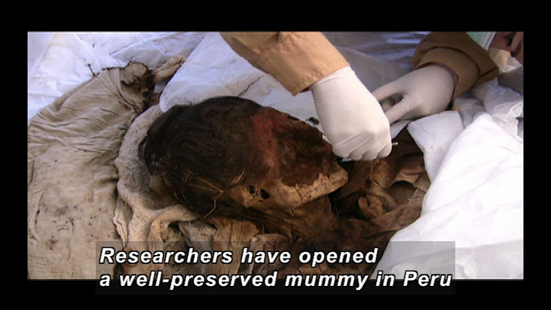 Still image from Wild Chronicles: Peruvian Mummy
