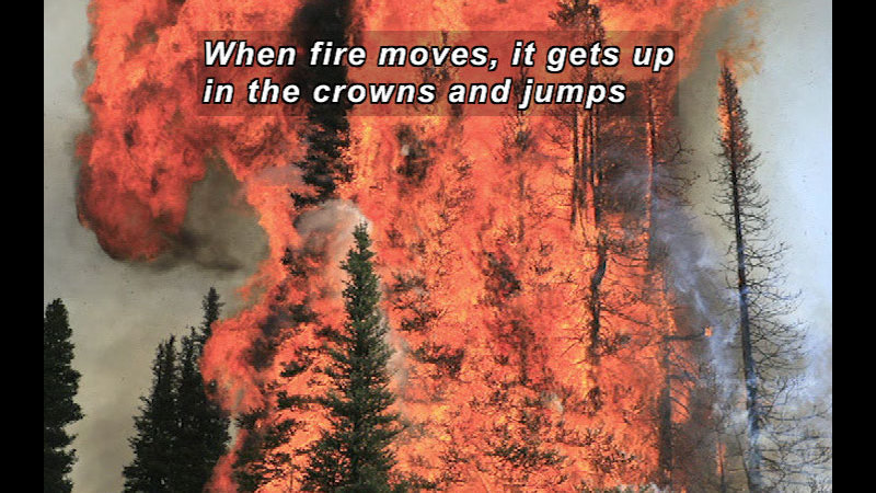 Still image from Wild Chronicles: Wildfire Firefighters