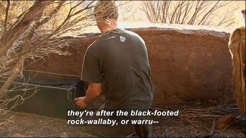 Still image from Wild Chronicles: Recovery Team