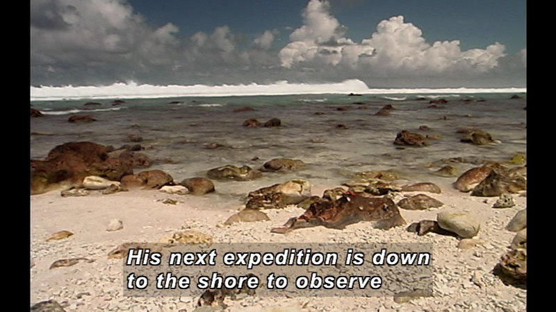 Still image from Wild Chronicles: Clipperton Island