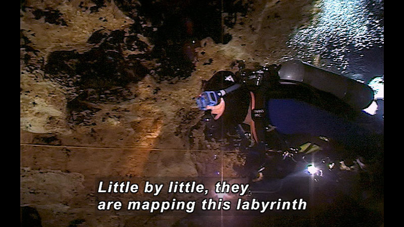 Still image from Wild Chronicles: Mapping Florida's Aquifers