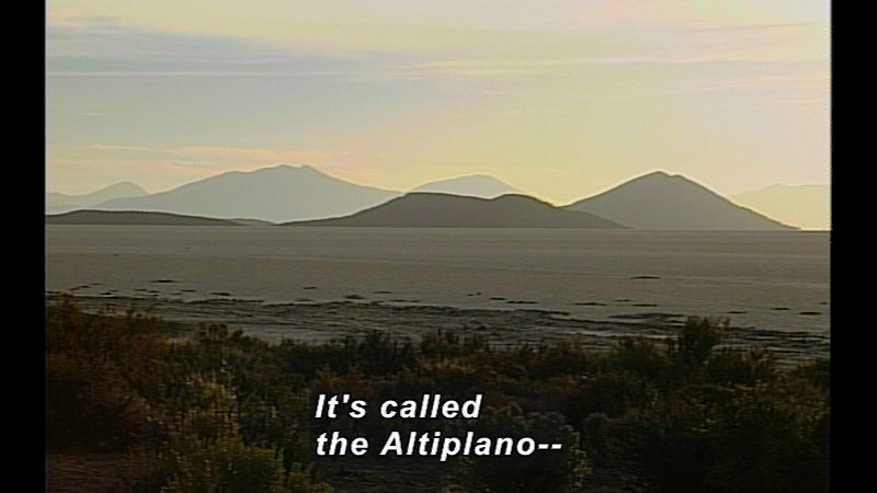 Large, flat plain with mountains in the distance. Caption: It's called the Altiplano --