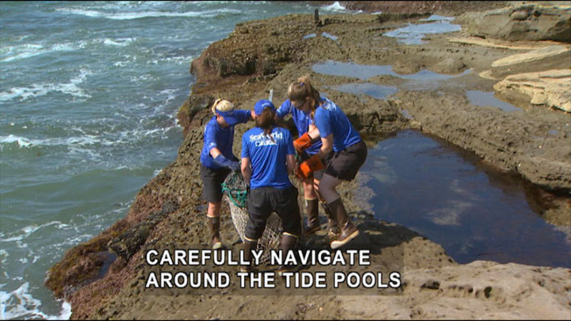People standing on the edge of a tide pool holding a large net. Caption: carefully navigate around the tide pools