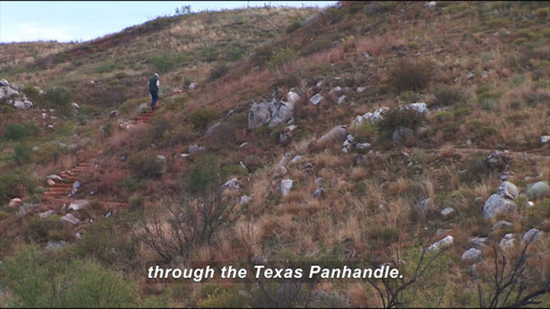 Person walking through low hills of green and brown shrubs and rock strewn in red soil. Caption: through the Texas Panhandle.