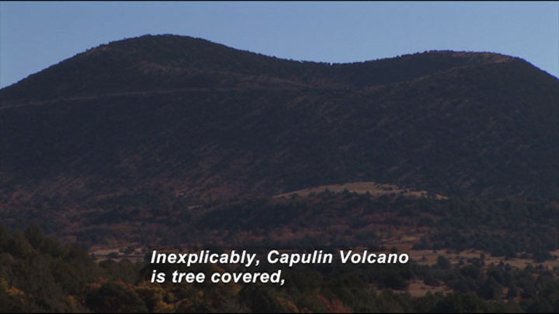 Rolling two-peaked hill and valley covered in trees. Caption: Inexplicably, Capulin Volcano is tree covered,