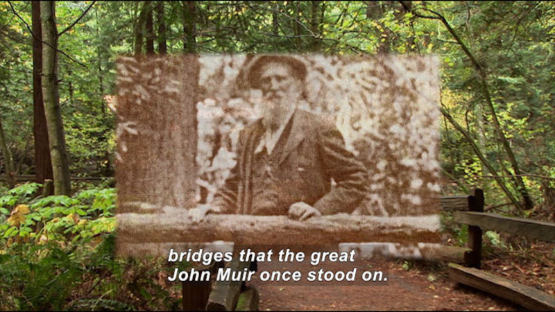 Wooden fence lining a path through a forest. Black and white photo of a man overlaid. Caption: bridges that the great John Muir once stood on.