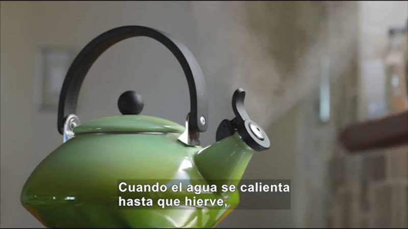 Still image from Science Video Vocab: Change Of State (Spanish)