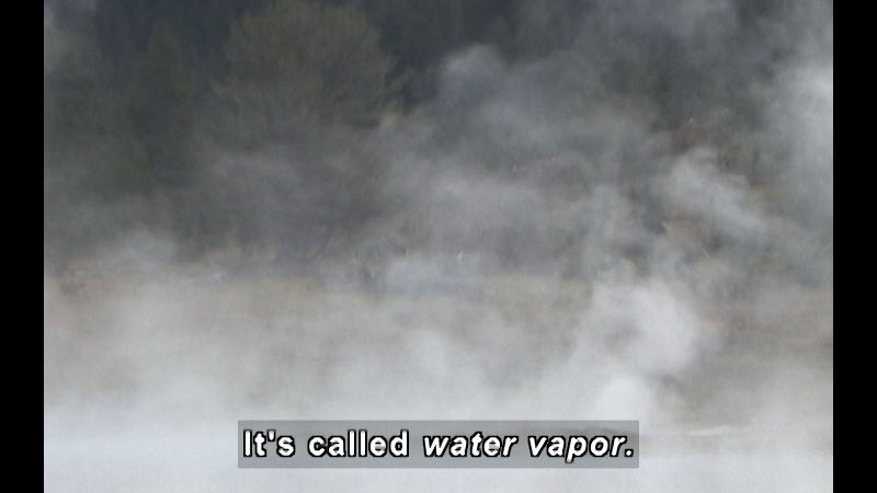 Mist in the air. Caption: It's called water vapor.
