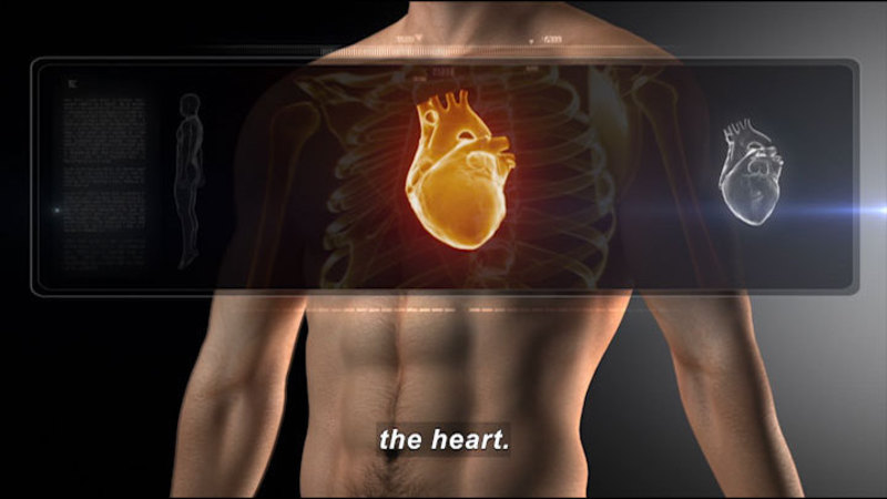Illustration of human torso with area over the upper chest in x-ray vision, showing the rib cage and heart. Caption: the heart.