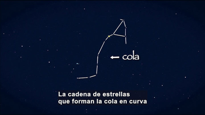 Still image from Science Video Vocab: Constellation (Spanish)