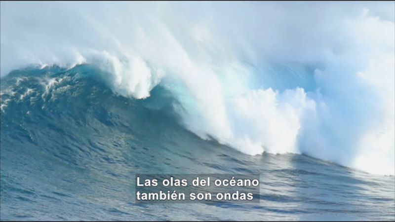 Still image from Science Video Vocab: Wave (Spanish)