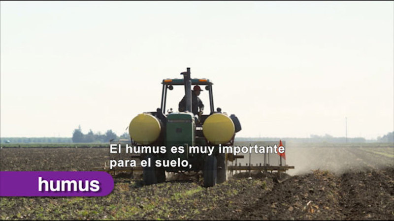 Still image from Science Video Vocab: Soil (Spanish)