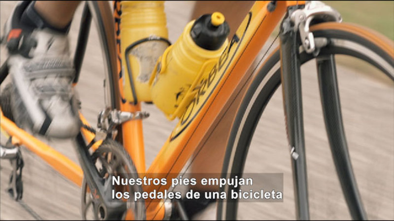 Still image from Science Video Vocab: Push (Spanish)
